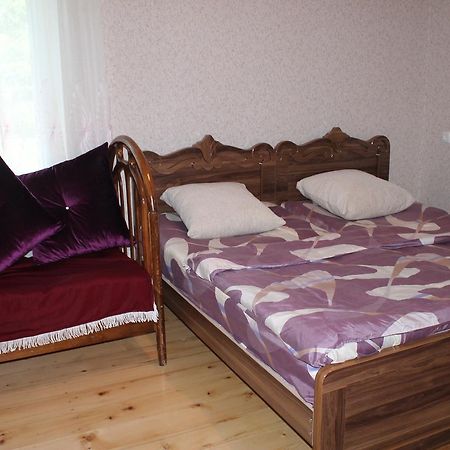 Beautiful Georgia Guesthouse Didi Jikhaishi Екстер'єр фото